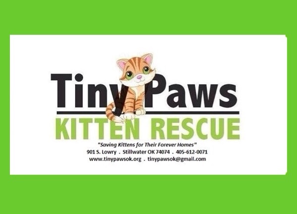 Tiny Paws Kitten Rescue