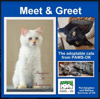 PAWS also holds special Meet & Greets at PetSmart