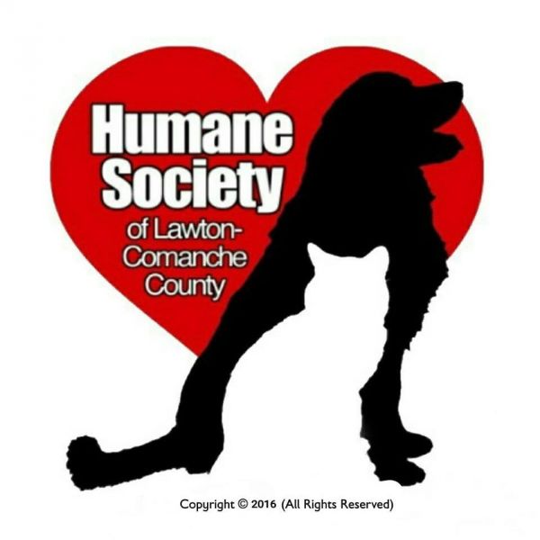 Pawsitive Options 4 Adoption of Lawton-Comanche County Humane Society
