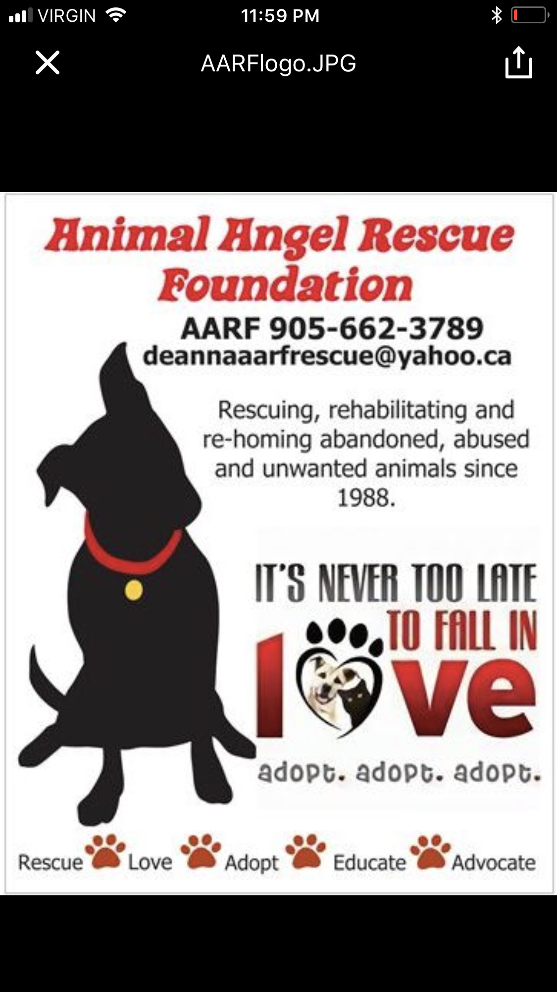 Angel's Animal Rescue Society