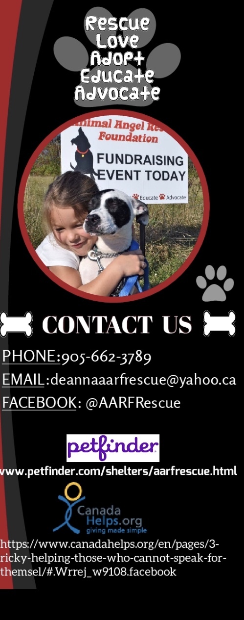 AARF - Animal Angel Rescue Foundation