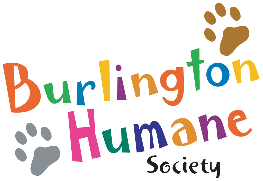 Pets for Adoption at Burlington Humane Society formerly Animal Aid, in  Burlington, ON | Petfinder