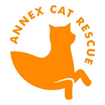 Pets for Adoption at Annex Cat Rescue in Toronto ON Petfinder