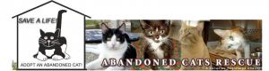 Abandoned Cats Rescue