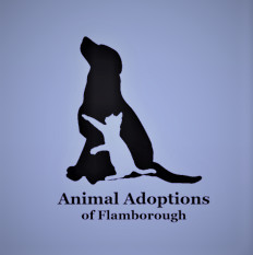 Animal Adoptions of Flamborough Inc.