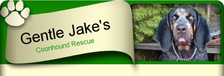 Gentle Jake's Coonhound Rescue