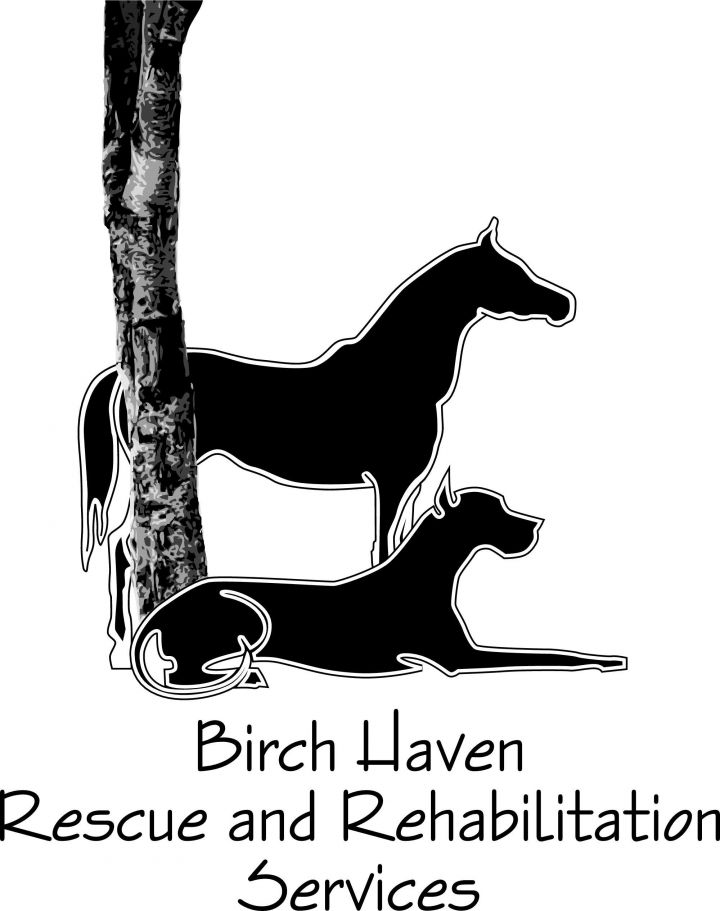 BHRR Logo