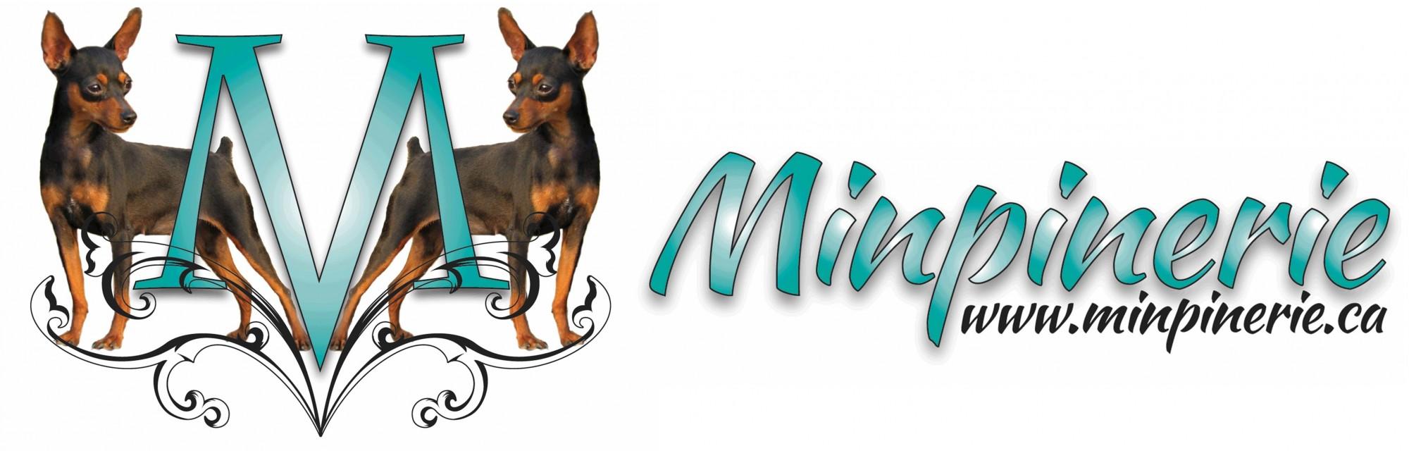 Minpinerie Dog Rescue Group