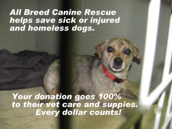 PLEASE HELP SAVE THEM!