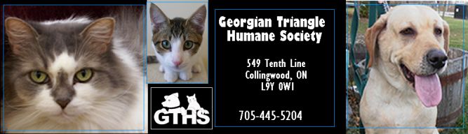 Georgian Triangle Humane Society