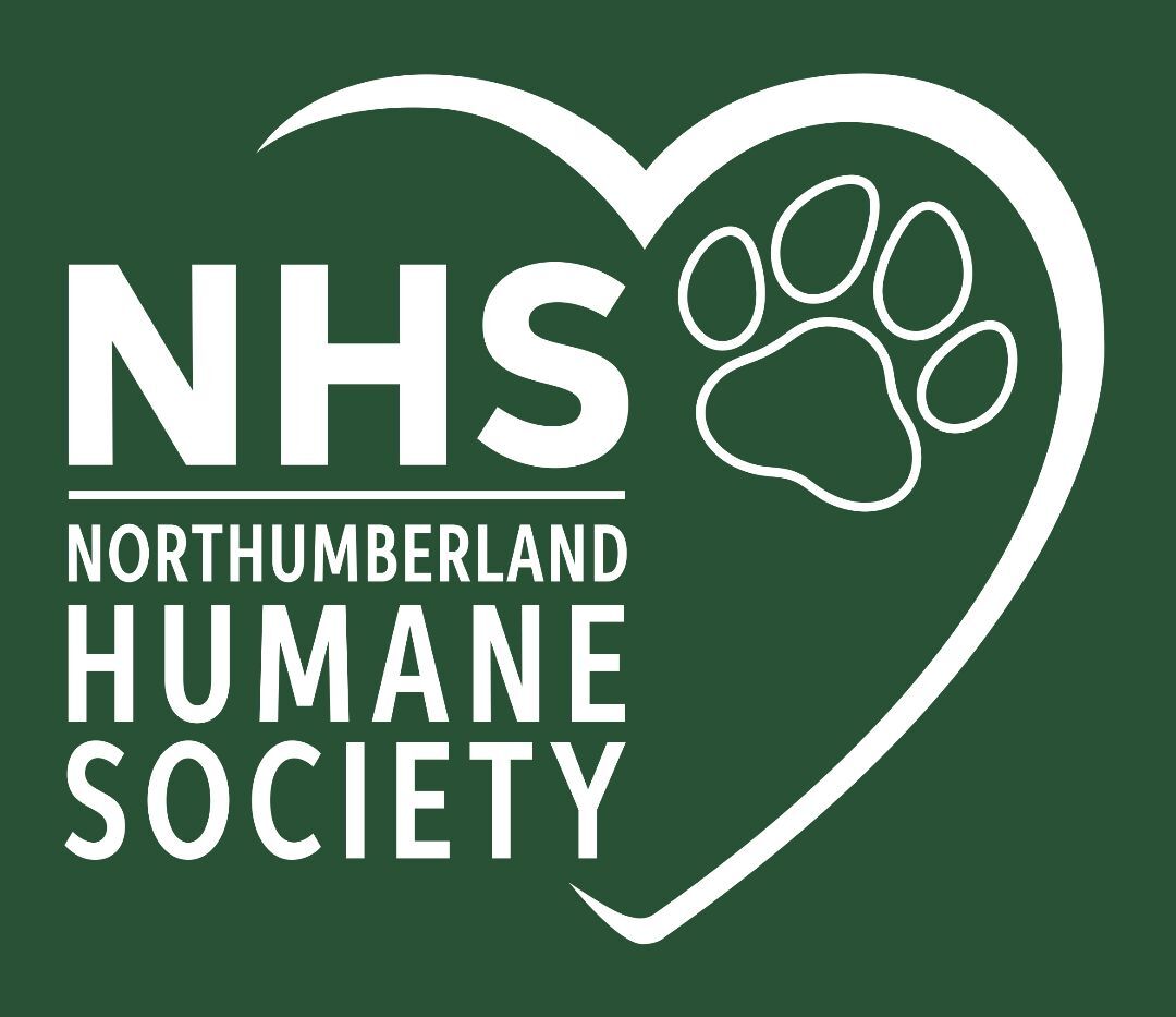 Northumberland shops spca