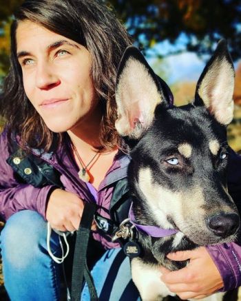 Pets For Adoption At South Coast Humane Society In Brookings Or Petfinder