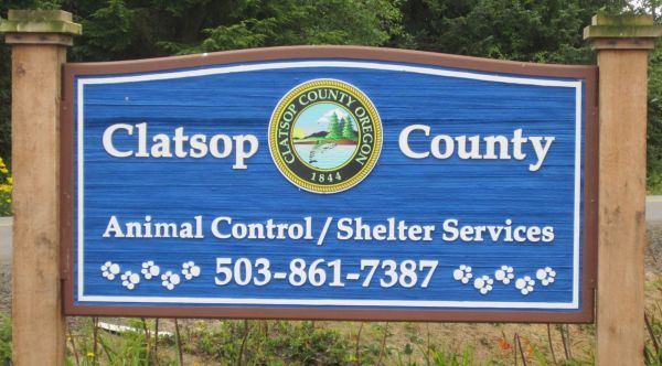 Clatsop County Animal Control Services