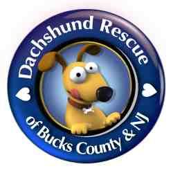 Dachshund Rescue of Bucks County & NJ
