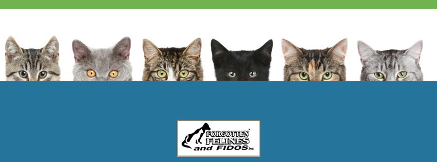 Forgotten Felines and Fidos, Inc.