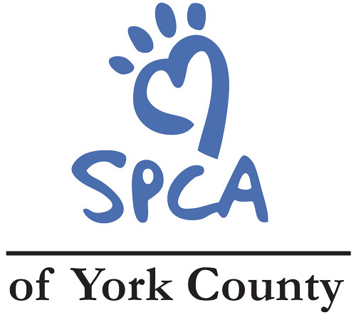 York County SPCA
