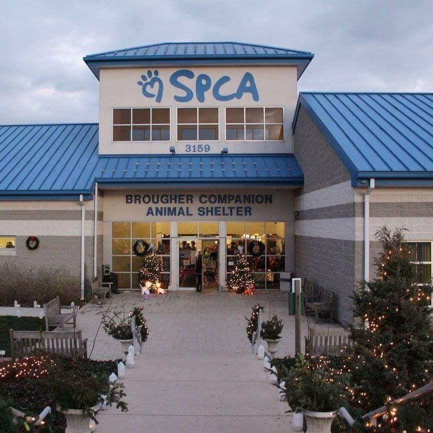 York County SPCA