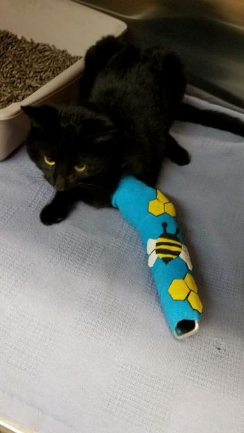 Our life saving efforts