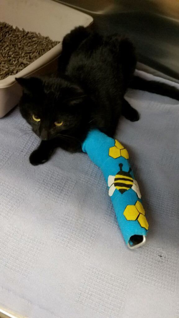 Our life saving efforts