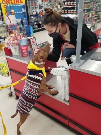 Kisses from Savannah