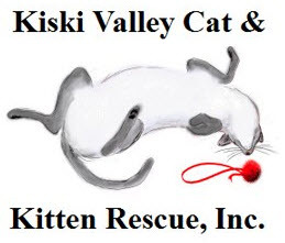 Kiski Valley Cat & Kitten Rescue, Inc.