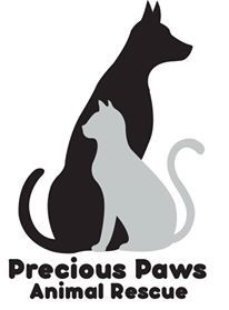 Precious Paws Animal Rescue