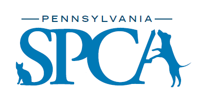 Pennsylvania spca best sale dogs for adoption