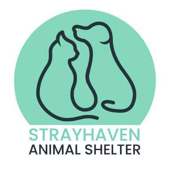 Strayhaven Animal Shelter