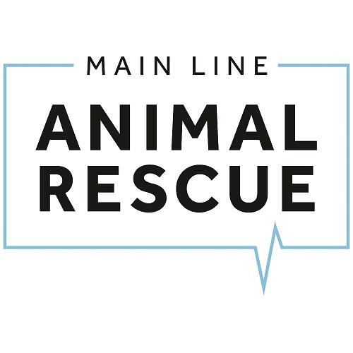 main line rescue dogs available