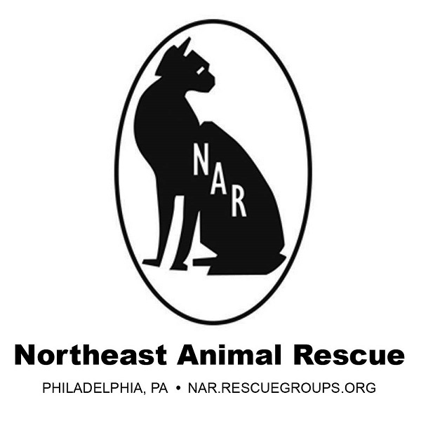 Northeast Animal Rescue
