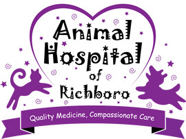 Animal Hospital of Richboro