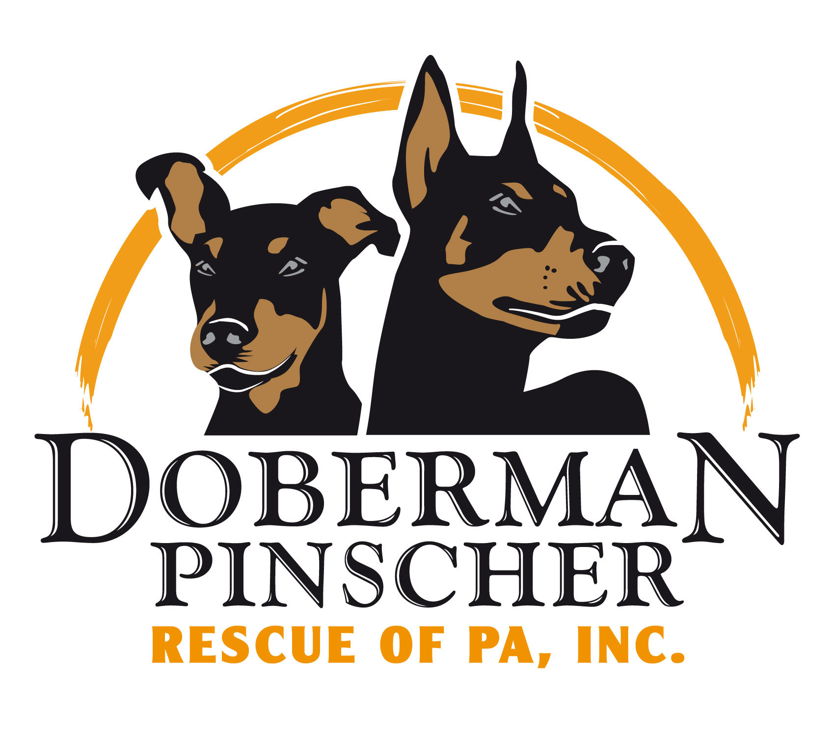 Get to know Doberman Pinscher Rescue of PA, Inc. 