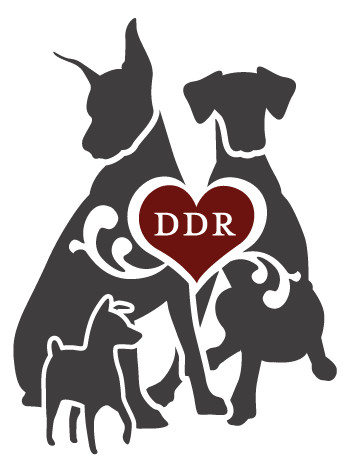 Distinguished Dobermans Rescue