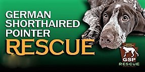 German Shorthaired Pointer Rescue PA, Inc.