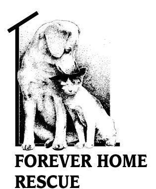 Forever Home Animal Rescue