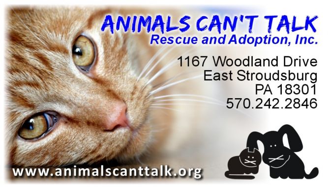 Animals Cant Talk Rescue and Adoption Inc.