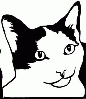 Absolutely Purrfect