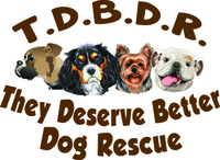 They Deserve Better Dog Rescue