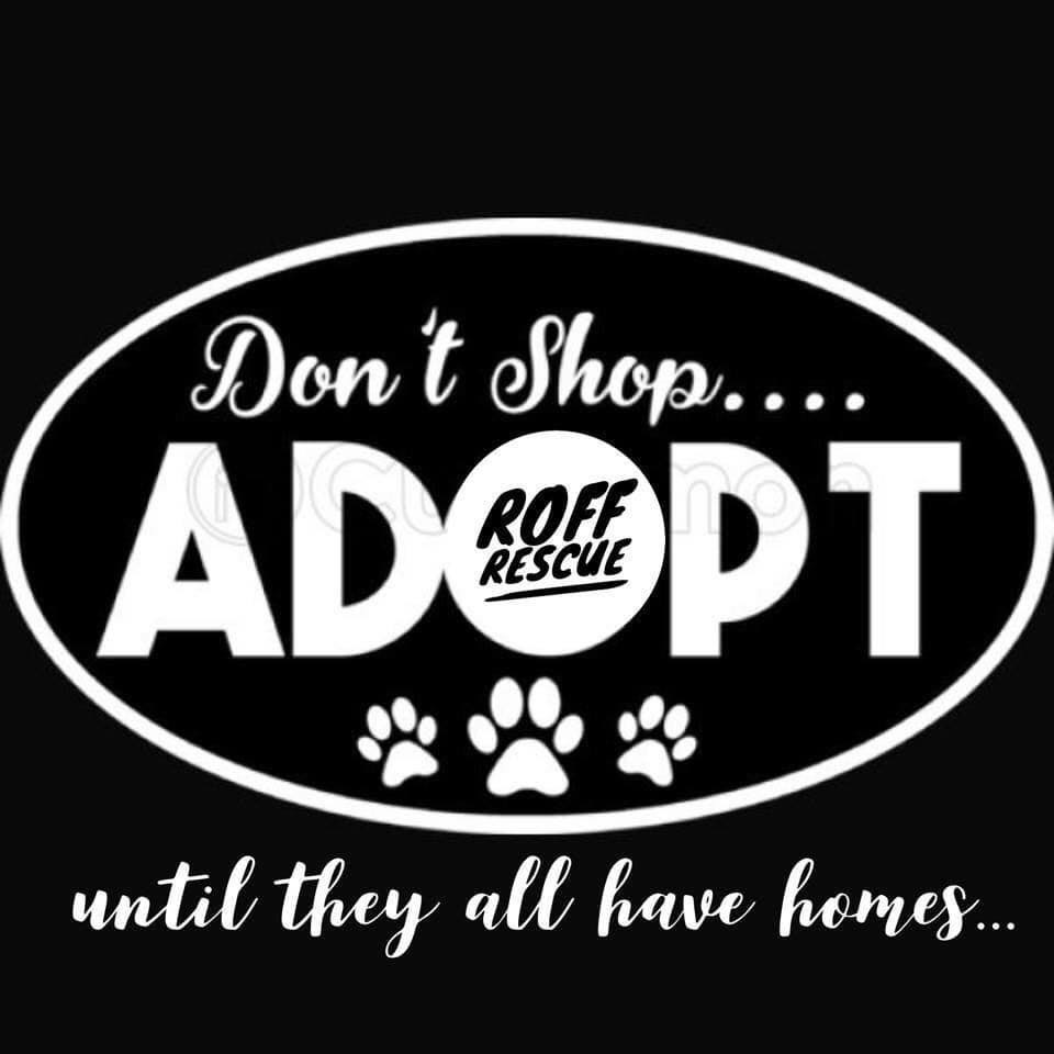 Rescue Our Furry Friends