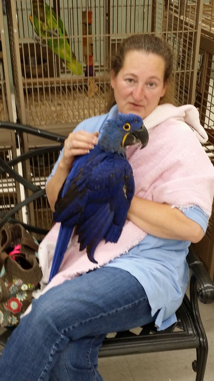 This is me with one of my friends birds.