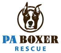 PA Boxers, Inc