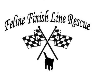 Feline Finish Line