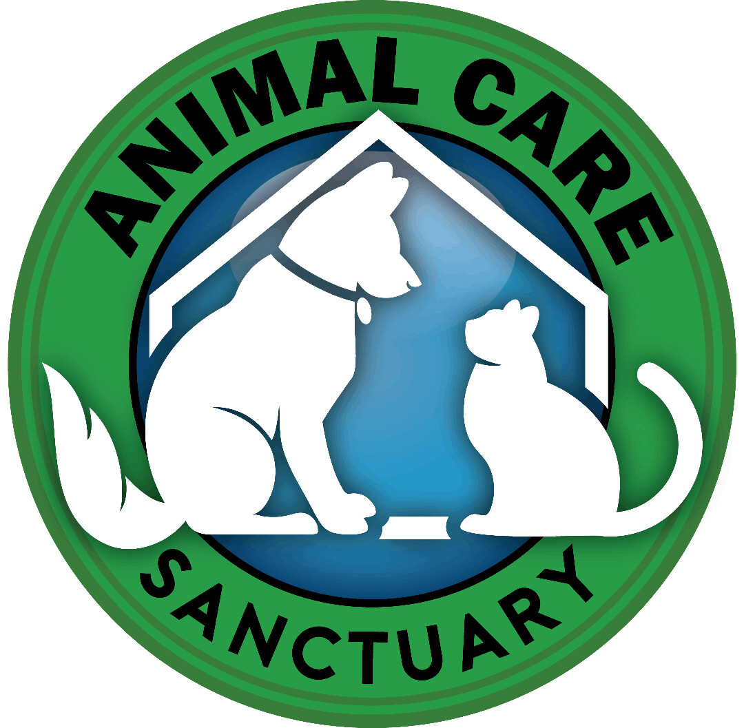 Pets for Adoption at Animal Care Sanctuary, in East Smithfield, PA |  Petfinder