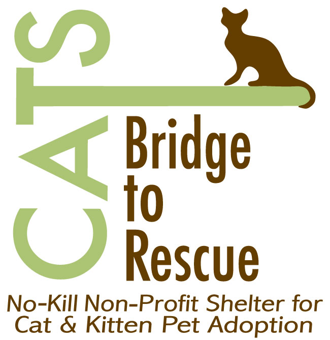 Pets for Adoption at CATS Bridge to Rescue, in Trevose, PA