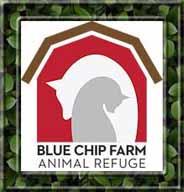 Blue Chip Farm