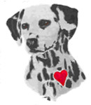 Pets for Adoption at Willing Hearts Dalmatian Rescue, in Royersford, PA ...