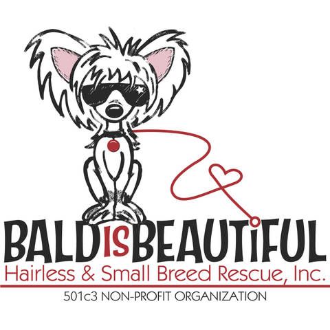 Bald Is Beautiful Hairless & Small Breed Rescue, Inc.