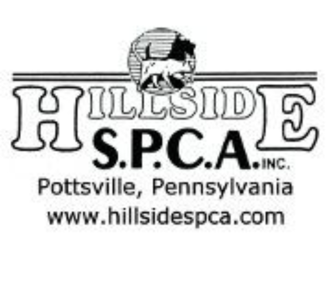 Pets for Adoption at Hillside S.P.C.A. 