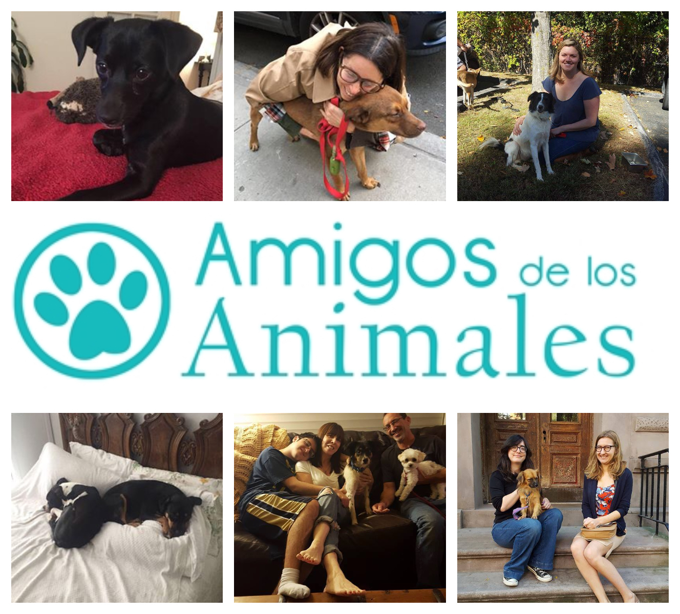 Amigos De Los Animales