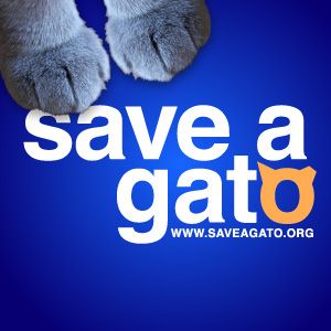 Save A Gato